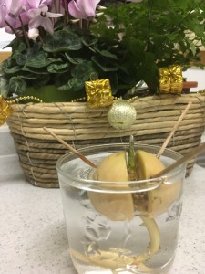 AD73472A-76D4-442C-BB3B-F9F456E71A0C