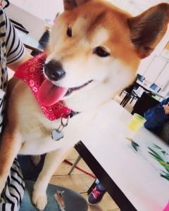 C598EA9F-F8AB-47A8-9824-D61CE661EDF3